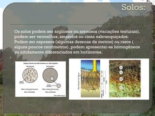    Os solos podem ser argilosos ou arenosos (variações texturais),
    podem ser vermelhos, amarelos ou cinza esbranquiçados.
   Podem ser espessos (algumas dezenas de metros) ou rasos (
    alguns poucos centímetros), podem apresentar-se homogêneos
    ou nitidamente diferenciados em horizontes.

 