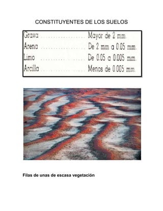 CONSTITUYENTES DE LOS SUELOS




Filas de unas de escasa vegetación
 