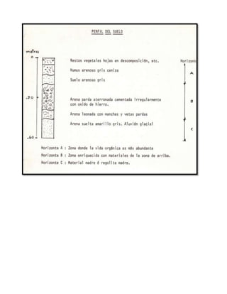 Intemperismo de suelos