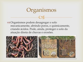 
 Organismos podem desagregar o solo
mecanicamente, abrindo poros, e quimicamente,
criando ácidos. Pode, ainda, proteger o solo da
atuação direta de chuvas e erosões.
Organismos
 