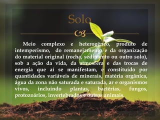 
Meio complexo e heterogêneo, produto de
intemperismo, do remanejamento e da organização
do material original (rocha, sedimento ou outro solo),
sob a ação da vida, da atmosfera e das trocas de
energia que aí se manifestam, e constituído por
quantidades variáveis de minerais, matéria orgânica,
água da zona não saturada e saturada, ar e organismos
vivos, incluindo plantas, bactérias, fungos,
protozoários, invertebrados e outros animais.
Solo
 
