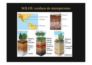 SOLOS: resíduos do intemperismo




    Húmus e     Húmus          Húmus e
    solo        espesso        solo
    lixiviado   ausente        lixiviado
                Fe e Al
    Óxidos      insolúveis     Concreções
    de Fe e     Zona           e nódulos
    Al          lixiviada

    Ganito      Basalto
                              Sedimentar


                             Figure 7.16
 