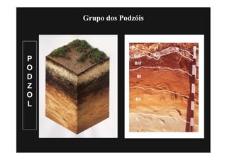 Grupo dos Podzóis




P
O
D
Z
O
L
 