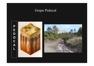 Grupo Pedocal



P
E
D
O
C
A
L
 