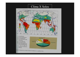 Clima X Solos
 