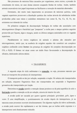 Sao processos de natureza fisica causados por organismos, entre outros, a pressao de
crescimento de raizes, no caso destas estarem ocupando fendas de rochas. Assim, tambem
animais escavadores tern papel importante ao facilitarem a remoyao de materiais alternados.
         Entretanto, saD muito mais importantes os processos de natureza quirnica, onde
vegetais superiores promovem a dissoluyao quimica das roch,as atraves de substancias acidas
produzidas pelas suas raizes e assimilam elementeos tais como K, Na, Ca, AI, Fe, etc.
existentes nos minerais de rochas.
         Os primeiros estagios de decomposi<;;aobiol6gica de rochas saD associados corn
microrganismos (fungos e bacterias) que "preparam" a rocha para 0 ataque quimico seguinte
promovido por liquens, algas e musgos, sendo os ultimos estagios associados corn os vegetais
supenores.
         Paralelamente os restos organicos de animais e plantas saD atacados por
microrganismos, sendo que, na ausencia de oxigenio aqueles vao constituir urn complexo
organico conhecido como humus (na presenya de oxigenio hi completa decomposiyao ern
CO2 e H2O). 0 humus vai atuar como urn acido fraco favorecendo a decomposiyao de
silicatos, deslocando cations destes.




                                        6- TRANSPORTE


         A segunda etapa do cicIo sedimentar e a remodio, ou seja, processos naturais que
levam ao transporte dos produtos do intemperismo.
         0 transporte pode se dar por solu<;;ao,
                                               suspensao e tra<;;ao. s solutos saDtransportados
                                                                   O
ern soluyao, enquanto fragmentos finos saD transportados ern suspensao e fragmentos
grosseiros saD transportados por tra<;;ao.

         Denornina-se erosao quando a remo<;;aodesses produtos se da pela superficie do solo e
lixiviacao quando a remoyao se da ern soluyao, atraves do interior do solo.
         A erosao pode ser causada por quatro agentes principais: gravidade, gelD, agua e
vento.   E uma   simplificayao, 0 posicionamento da erosao depois do intemperismo, ja na
natureza esses processos ocorrem simultaneamente.Ern algumas regi5es de relevo acidentado,
a erosao pode ocorrer tao rapidamente e ser tao intensa, que as rochas serao expostas e 0
intemperismo sera drasticamente reduzido.
 