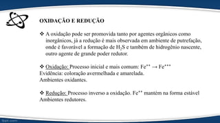 OXIDAÇÃO E REDUÇÃO
 A oxidação pode ser promovida tanto por agentes orgânicos como
inorgânicos, já a redução é mais observada em ambiente de putrefação,
onde é favorável a formação de H2S e também de hidrogênio nascente,
outro agente de grande poder redutor.
 Oxidação: Processo inicial e mais comum: Fe⁺⁺ → Fe⁺⁺⁺
Evidência: coloração avermelhada e amarelada.
Ambientes oxidantes.
 Redução: Processo inverso a oxidação. Fe⁺⁺ mantém na forma estável
Ambientes redutores.
 