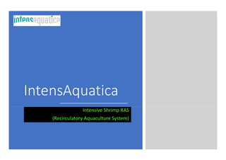 IntensAquatica
Intensive Shrimp RAS
(Recirculatory Aquaculture System)
 