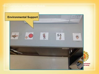 HSCI Curriculum Modifications Module Environmental Support 