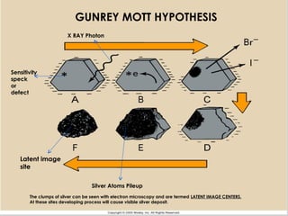 25
GUNREY MOTT HYPOTHESIS
Sensitivity
speck
or
defect
X RAY Photon
Silver Atoms Pileup
Latent image
site
The clumps of silver can be seen with electron microscopy and are termed LATENT IMAGE CENTERS.
At these sites developing process will cause visible silver deposit.
 