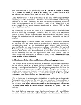 lower than those cited by Mr. Foidl in Nicaragua. We are able to produce on average 100 kg of dried leaf powder per week, or five tons per year. It requires 8 kg of fresh leaves (with stems removed) to produce one kg of dried leaves. 
During the rainy season of 2002, several attacks by leaf-eating caterpillars (unidentified) completely devastated the plantation. We applied the insecticide DECIS and completely cut down all the plants. Fortunately, the trees very vigorously recovered because the growth and resistance of this tree are exceptional. During the 2003 rainy season, we had to apply insecticides on a regular basis since attacks were very frequent. This year there was no significant plant loss. 
The farm hectare was divided into 8 plots so as to facilitate transport and schedules for irrigation, harvest and maintenance. Fruit trees (citrus and mango) have been planted between the plots. The farm workers also cultivate onions, peppers and manioc between the plots (but not tomato, since this requires too much labor). The onion harvest has been excellent. 
Harvesting the 8 plots is done one after the other, according to the schedule, with each plot harvested every two months during the year (although in Nicaragua 9 harvests per year are possible). study . We wait until the plants reach a height of 1m 20. The laborers use a small hand scythe to cut the plants down to a height of about 20 cm above ground. At the beginning, we waited until the plants reached a height of up to 2 meters before harvesting them, but we found that this approach led to too much loss: the lower trunk of the trees lost many leaves and their large diameter made cutting difficult. After the cutting, 5 days later, the re-growth of branches is already visible. With our approach, six harvests per year are obtainable. 
6. Cleaning and drying of harvested leaves, crushing and bagging dry leaves 
Once the trees are cut, the harvested branches are washed in treated water to remove sand and dust from the leaves. We do not use untreated water from the Gueirs Lake which is invested by microbes such as bilharzias. The daily water needs are about 400 liters. We also enforce exemplary cleanliness among farm workers. During the harvesting and leaf cleaning time, workers must frequently wash their hands with soap and remove shoes or boot before entering the drying room. A laboratory analysis of the leaf powder showed that it was a clean product free of fecal coliforms. 
After the rinsing, the leaves are manually stripped from the branches and put into a basket for transport to the drying room. The moist leaves are spread onto the screened trays in thin layers to permit easy air circulation. At the present time, the farm’s drying room has 250 such trays. Leaf-drying time depends on the level of humidity in the atmosphere. During the rainy season, 4 days are needed; during the dry season, 2 days are sufficient. 
Once dried, the leaves are crushed using a diesel-powered hammer mill – a mill like the one used in villages to crush millet seed into flour, but with a finer screen. The millet is  