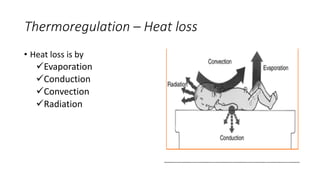 Thermoregulation – Heat loss
• Heat loss is by
Evaporation
Conduction
Convection
Radiation
 