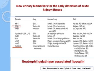 New urinary biomarkers for the early detection of acute
kidney disease
Han, Bonventre,Current Opin Crit Care 2004, 10:476–482
Neutrophil gelatinase associated lipocalin
 