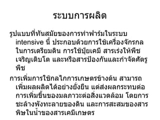 ระบบการผลิต รูปแบบที่ทันสมัยของการทำฟาร์มในระบบ  intensive  นี้ ประกอบด้วยการใช้เครื่องจักรกลในการเตรียมดิน การใช้ปุ๋ยเคมี สารเร่งให้พืชเจริญเติบโต และหรือสารป้องกันและกำจัดศัตรูพืช การเพิ่มการใช้กลไกการเกษตรข้างต้น สามารถเพิ่มผลผลิตได้อย่างยั่งยืน แต่ส่งผลกระทบต่อการเพิ่มขึ้นของมลภาวะต่อสิ่งแวดล้อม โดยการชะล้างพังทะลายของดิน และการสะสมของสารพิษในน้ำของสารเคมีเกษตร 