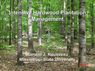 Intensive Hardwood Plantation Management Randall J. Rousseau Mississippi State University 