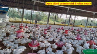 Open sided commercial Broiler house
 