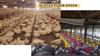 SLATTED FLOOR SYSTEM
 