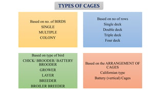 Based on no. of BIRDS
SINGLE
MULTIPLE
COLONY
Based on no of rows
Single deck
Double deck
Triple deck
Four deck
Based on type of bird
CHICK/ BROODER/ BATTERY
BROODER
GROWER
LAYER
BREEDER
BROILER BREEDER
Based on the ARRANGEMENT OF
CAGES
Californian type
Battery (vertical) Cages
TYPES OF CAGES
 