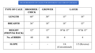 TYPE OF CAGE BROODER /
CHICK
GROWER LAYER
LENGTH 60” 30” 15” 18”
BREADTH 36” 18” 18” 15”
HEIGHT
(FRONT& BACK)
12” 15” 18”& 15” 18”& 15”
No. of BIRDS 60 10 4 4
SLOPE - - 1/6
(Conventional)
1/5 (Reverse)
MEASUREMENTS OF CAGES FOR DIFFERENT AGE GROUP CHICKEN
 