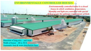 ENVIRONMENTALLY CONTROLLED HOUSES
Environmentally controlled house is a closed
house in which ventilation, temperature,
humidity and light are controlled with special
devices as per the optimum requirements of birds
Direction of long axis – east west
Width of house – 40 to 50 ft
Automatic feed & water distribution lines
 