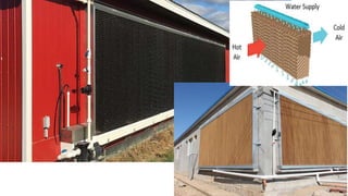 Intensive Housing systems for Poultry.pptx