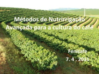 Fenicafe 7. 4 . 2011 Métodos de Nutrirrigação Avançada para a cultura do café 
