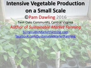 Intensive Vegetable Production
on a Small Scale
©Pam Dawling 2016
Twin Oaks Community, Central Virginia
Author of Sustainable Market Farming
SustainableMarketFarming.com
facebook.com/SustainableMarketFarming
 