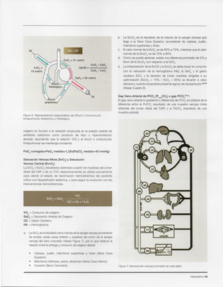 Intensivismo 13
Figura 7: Saturacionesvenosaspromedio de cada tejido.
Gap Veno-Arterial de PC02 (p(V_aP02)0 gap PC0220.21:
EI gap veno-arterial (0 gradiente 0 diferencia) de PC02 se obtiene de la
diferencia entre la PvC02 (resultado de una muestra venosa mixta
obtenida del lumen distal del CAP) y la PaC02 (resultado de una
muestra arterial).
b. La Svc02 es el resultado de la mezcla de la sangre venosa que
Ilega a la Vena Cava Superior, procedente de cabeza, cuello,
miembros superiores y t6rax.
c. EI valor normal de la Sv02 va de 65% a 75%, mientras que el valor
normal de la Svc02 va de 70% a 80%.
d. Como se puede apreciar, existe una diferencia promedio de 5% a
favor de la Svc02 con respecto a la Sv02.
e. La interpretaci6n de la Sv02 y la Svc02 se debe hacer en conjunto
con la valoraci6n de la hemoglobina (Hb), la Sa02 y el gasto
cardfaco (GC), y la decisi6n de iniciar medidas dirigidas a su
optimizaci6n (Svc02 > 70% I Sv02 > 65%) se uevaran a cabo
siempre y cuando el paciente presente signos de bipoperfusion"-"
(Vease Cuadro 6).
• Cabeza, cuello, miembros superiores y t6rax (Vena Cava
Superior).
• Miembros inferiores, pelvis, abdomen (Vena Cava Inferior).
• Coraz6n (Seno Coronario).
a. La Sv02 es el resultado de la mezcla de la sangre venosa proveniente
de ambas venas cavas (inferior y superior) asf como de la sangre
venosa del seno coronario (Vease Figura 7), por 10 que traduce la
relaci6n entre la entrega y consumo de oxfgeno desde:
V02 = Consumo de oxfgeno
Sa02 = Saturaci6n Arterial de Oxfgeno
GC = Gasto Cardfaco
Hb = Hemoglobina
V02
Sv02 = Sa02 - ------
GC x Hb x 13,4)
Saturaci6n Venosa Mixta (Sv02) y Saturaci6n
Venosa Central (Svc02)
La Sv02 y Svc02 (resultados obtenidos a partir de muestras del lumen
distal del CAP y de un CVC respectivamente) se utilizan actualmente
para valorar el estado de reanimaci6n hernodinarnica del paciente
crftico con hipoperfusi6n sistemlca, y para seguir su evoluci6n con las
intervenciones hernodlnarnicas.
Pa02 corregido=Pa02 medido» 1,25x(PaC02 medido-40 mmHg)
oxfgeno en funci6n a la variaci6n producida en la presi6n arterial de
anhfdrido carb6nico como producto de hipo 0 hiperventilaci6n
alveolar, asumiendo que la relaci6n V/O y el shunt 0 cortocircuito
intrapulmonar se mantenga constante.
Figura 6: Representaci6n esquemetice del Shunt 0 Cortocircuito
Intrapulmonar Anat6mico y Fisiol6gico.
anatornlco
Ca02 = 20 vols%
Cc02 - Ca02
Cc02 - Cv02
as/at =Cv02=
15 vols%
at
at
'"
 