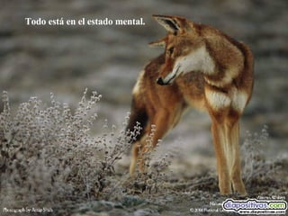 Todo está en el estado mental. 