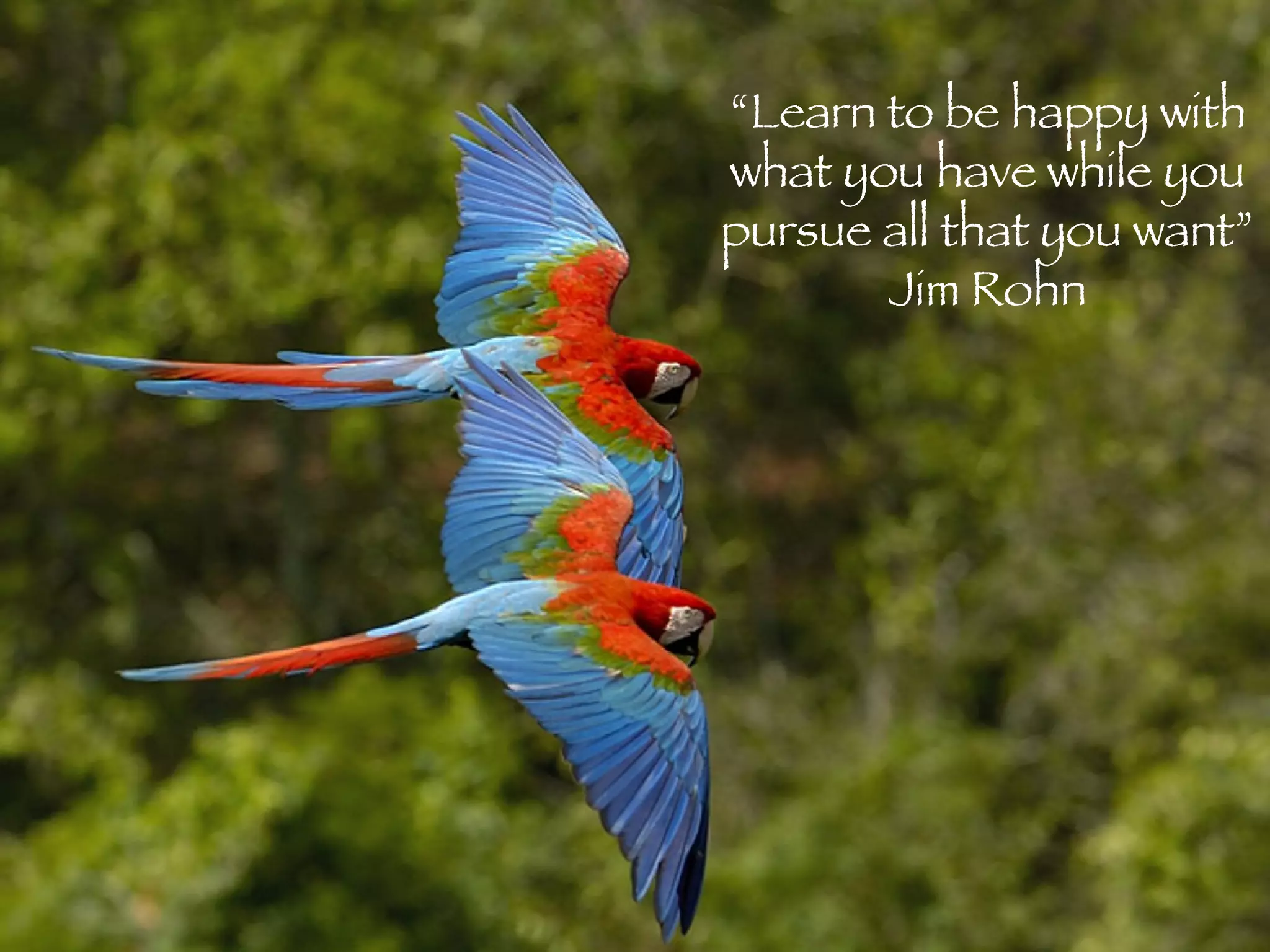 “ Learn to be happy with what you have while you pursue all that you want” Jim Rohn 