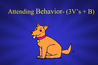 Attending  Behavior - (3V’s + B) 