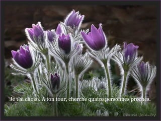 Je t’ai choisi. A ton tour, cherche quatre personnes proches.  