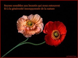 Soyons sensibles aux beautés qui nous entourent Et à la générosité insoupçonnée de la nature 