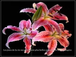 Les joies de la vie me paraissent plus belles quand elles sont partagées 