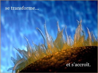 se transforme... et s’accroît. 