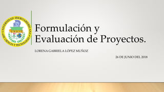 Formulación y
Evaluación de Proyectos.
LORENA GABRIELA LÓPEZ MUÑOZ
26 DE JUNIO DEL 2018
 