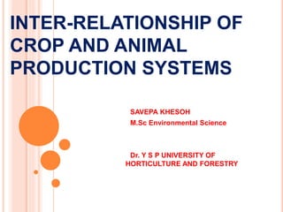INTER-RELATIONSHIP OF
CROP AND ANIMAL
PRODUCTION SYSTEMS
SAVEPA KHESOH
M.Sc Environmental Science
Dr. Y S P UNIVERSITY OF
HORTICULTURE AND FORESTRY
 