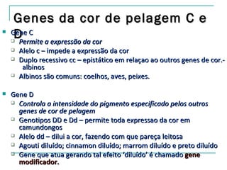 Genes da cor de pelagem C e

    
     D
    Gene C
      Permite a expressão da cor
       Alelo c – impede a expressão da cor
       Duplo recessivo cc – epistático em relaçao ao outros genes de cor.-
         albinos
       Albinos são comuns: coelhos, aves, peixes.

   Gene D
     Controla a intensidade do pigmento especificado pelos outros
      genes de cor de pelagem
     Genotipos DD e Dd – permite toda expressao da cor em
      camundongos
     Alelo dd – dilui a cor, fazendo com que pareça leitosa

     Agouti diluído; cinnamon diluído; marrom diluído e preto diluído

     Gene que atua gerando tal efeito ‘diluído’ é chamado gene
      modificador.
 