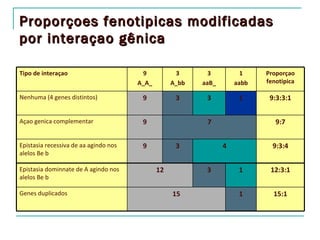 Proporçoes fenotipicas modificadas
por interaçao gênica

Tipo de interaçao                       9           3       3          1    Proporçao
                                       A_A_        A_bb   aaB_       aabb   fenotipica

Nenhuma (4 genes distintos)             9           3      3          1      9:3:3:1


Açao genica complementar                9                  7                   9:7


Epistasia recessiva de aa agindo nos    9           3            4            9:3:4
alelos Be b

Epistasia dominnate de A agindo nos           12           3          1      12:3:1
alelos Be b

Genes duplicados                                   15                 1       15:1
 