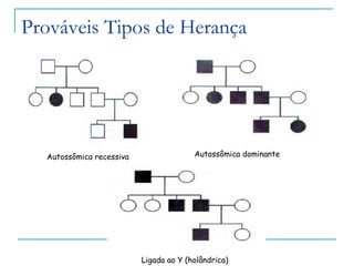 Prováveis Tipos de Herança




  Autossômica recessiva                 Autossômica dominante




                          Ligada ao Y (holândrica)
 