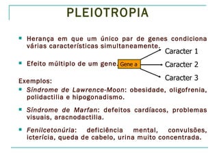 PLEIOTROPIA
   Herança em que um único par de genes condiciona
    várias características simultaneamente.
                                             Caracter 1
   Efeito múltiplo de um gene. Gene a       Caracter 2

Exemplos:                             Caracter 3
 Síndrome de Lawrence-Moon: obesidade, oligofrenia,
  polidactilia e hipogonadismo.
   Síndrome de Marfan: defeitos cardíacos, problemas
    visuais, aracnodactilia.
   Fenilcetonúria:   deficiência    mental,   convulsões,
    icterícia, queda de cabelo, urina muito concentrada.
 