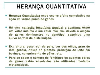 HERANÇA QUANTITATIVA
   Herança Quantitativa onde ocorre efeito cumulativo na
    ação de vários pares de genes.

   Há uma variação fenotípica gradual e contínua entre
    um valor mínimo e um valor máximo, devida a adição
    de genes dominantes no genótipo, seguindo uma
    curva normal de distribuição.

   Ex.: altura, peso, cor da pele, cor dos olhos, grau de
    inteligência, altura de plantas, produção de leite em
    bovinos, comprimento de pêlos, etc.
   Para se saber o número de fenótipos ou quantos pares
    de genes estão envolvidos são utilizados modelos
    matemáticos.
 