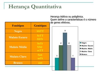 Herança Quantitativa
Cor da Pele em Humanos
                            Herança Aditiva ou poligênica.
                            Quem define a características é o número
                            de genes efetivos.
  Fenótipos     Genótipos
                                         3
   Negro         SSTT
                  SsTT
Mulato Escuro
                  SSTt
                                                       Negro
                  SsTt               2       2
                                                       Mulato Escuro
Mulato Médio      SStt                                 Mulato Médio
                  ssTT                                 Mulato Claro
                                                       Branco
                  Sstt           1               1
Mulato Claro
                  ssTt
   Branco          sstt
 