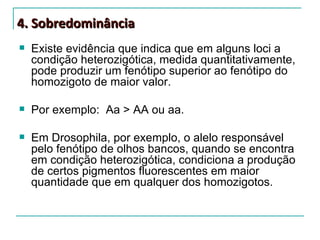 4. Sobredominância
   Existe evidência que indica que em alguns loci a
    condição heterozigótica, medida quantitativamente,
    pode produzir um fenótipo superior ao fenótipo do
    homozigoto de maior valor.

   Por exemplo: Aa > AA ou aa.

   Em Drosophila, por exemplo, o alelo responsável
    pelo fenótipo de olhos bancos, quando se encontra
    em condição heterozigótica, condiciona a produção
    de certos pigmentos fluorescentes em maior
    quantidade que em qualquer dos homozigotos.
 