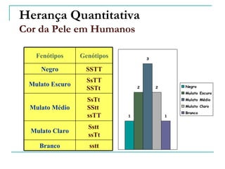 Herança Quantitativa
Cor da Pele em Humanos

   Fenótipos     Genótipos           3


     Negro        SSTT
                   SsTT
 Mulato Escuro                                   Negro
                   SSTt          2       2
                                                 Mulato Escuro

                   SsTt                          Mulato Médio
                                                 Mulato Claro
  Mulato Médio     SStt
                                                 Branco
                   ssTT      1               1


                   Sstt
  Mulato Claro
                   ssTt
    Branco          sstt
 