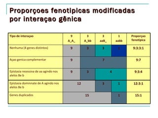 Proporçoes fenotipicas modificadas
por interaçao gênica

Tipo de interaçao                       9           3       3          1    Proporçao
                                       A_A_        A_bb   aaB_       aabb   fenotipica

Nenhuma (4 genes distintos)             9           3      3          1      9:3:3:1


Açao genica complementar                9                  7                   9:7


Epistasia recessiva de aa agindo nos    9           3            4            9:3:4
alelos Be b

Epistasia dominnate de A agindo nos           12           3          1      12:3:1
alelos Be b

Genes duplicados                                   15                 1       15:1
 