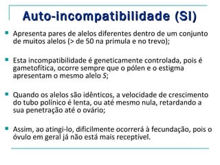 Auto-incompatibilidade (SI)
   Apresenta pares de alelos diferentes dentro de um conjunto
    de muitos alelos (> de 50 na primula e no trevo);

   Esta incompatibilidade é geneticamente controlada, pois é
    gametofítica, ocorre sempre que o pólen e o estigma
    apresentam o mesmo alelo S;

   Quando os alelos são idênticos, a velocidade de crescimento
    do tubo polínico é lenta, ou até mesmo nula, retardando a
    sua penetração até o ovário;

   Assim, ao atingi-lo, dificilmente ocorrerá à fecundação, pois o
    óvulo em geral já não está mais receptível.
 