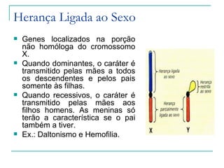 Herança Ligada ao Sexo
   Genes localizados na porção
    não homóloga do cromossomo
    X.
   Quando dominantes, o caráter é
    transmitido pelas mães a todos
    os descendentes e pelos pais
    somente às filhas.
   Quando recessivos, o caráter é
    transmitido pelas mães aos
    filhos homens. As meninas só
    terão a característica se o pai
    também a tiver.
   Ex.: Daltonismo e Hemofilia.
 