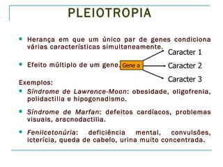 PLEIOTROPIA
   Herança em que um único par de genes condiciona
    várias características simultaneamente.
                                             Caracter 1
   Efeito múltiplo de um gene. Gene a       Caracter 2

Exemplos:                             Caracter 3
 Síndrome de Lawrence-Moon: obesidade, oligofrenia,
  polidactilia e hipogonadismo.
   Síndrome de Marfan: defeitos cardíacos, problemas
    visuais, aracnodactilia.
   Fenilcetonúria:    deficiência   mental,   convulsões,
    icterícia, queda de cabelo, urina muito concentrada.
 