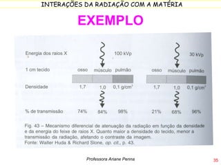 EXEMPLO Professora Ariane Penna 